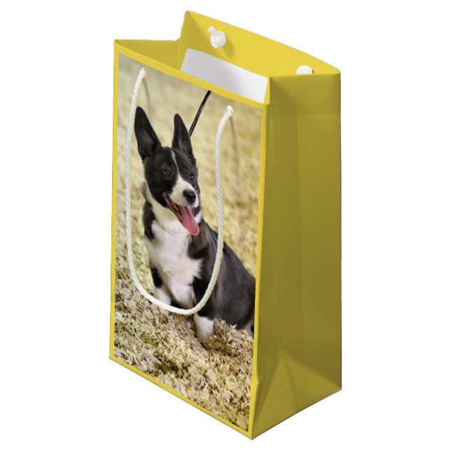 Corgi Small Gift Bag (Front Angled)