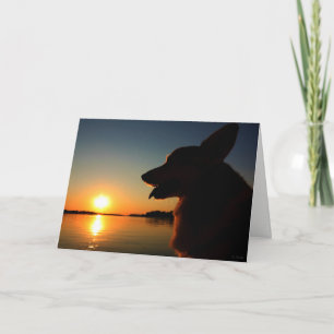 Corgi sur la carte de condence du coucher du solei