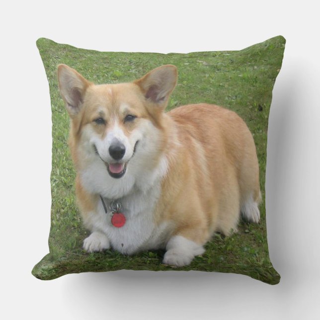CORGi Throw Pillow (Front)