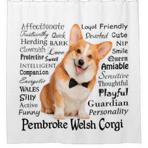 Corgi Traits