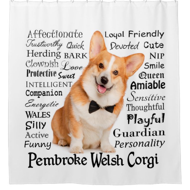 Corgi Traits (Front)