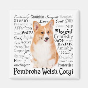 Corgi Traits aimant