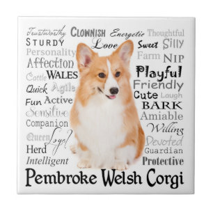 Corgi Traits Tile