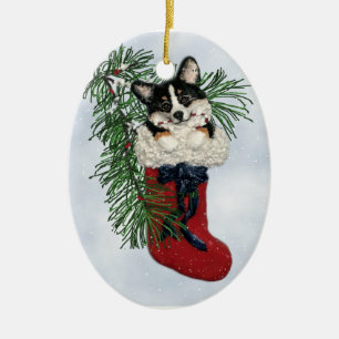 Corgi tricolore en ornement de bas de Noël