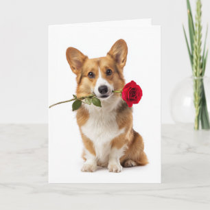 Corgi Valentine Card
