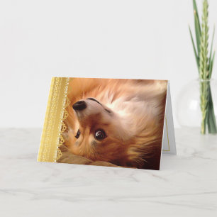Corgi Valentine up-side-down Holiday Card