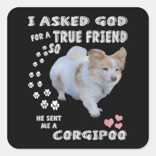 Corgipoo Lover, Cockerpoo Mom, Corgi Poodle Dad Square Sticker
