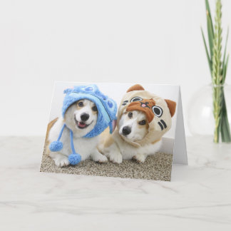 Corgis dans la carte de voeux pliée Casquette