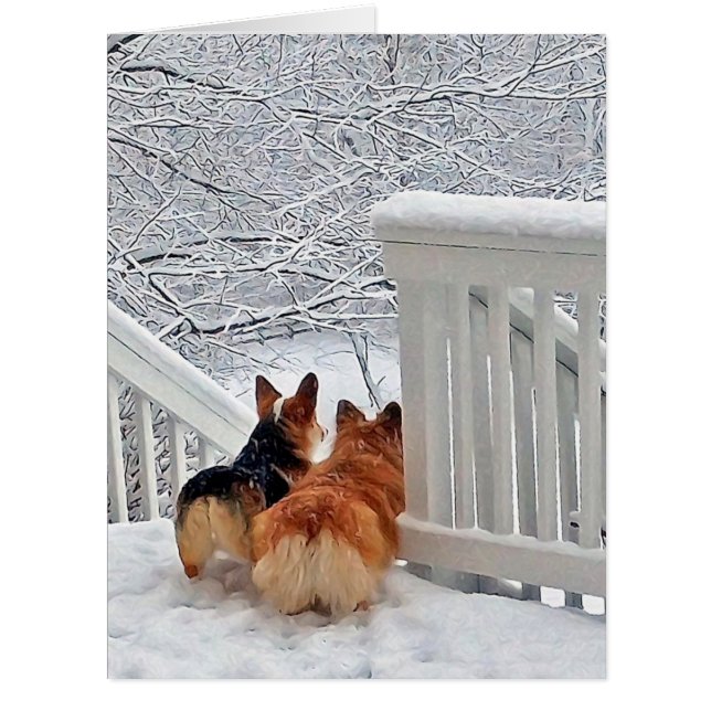 Corgis dans la neige (Devant)