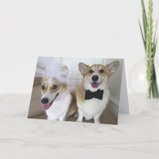 corgis dressed up as bride and groom card