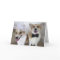 corgis dressed up as bride and groom