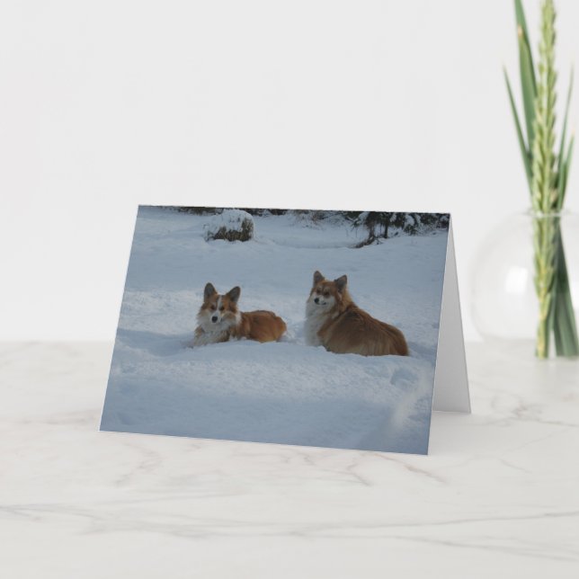 Corgis playing in snow holiday card (Front)