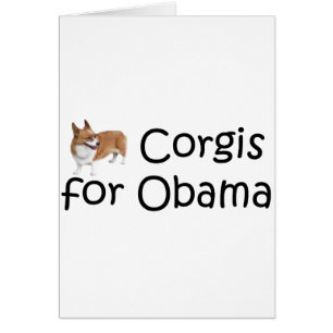 Corgis pour Obama