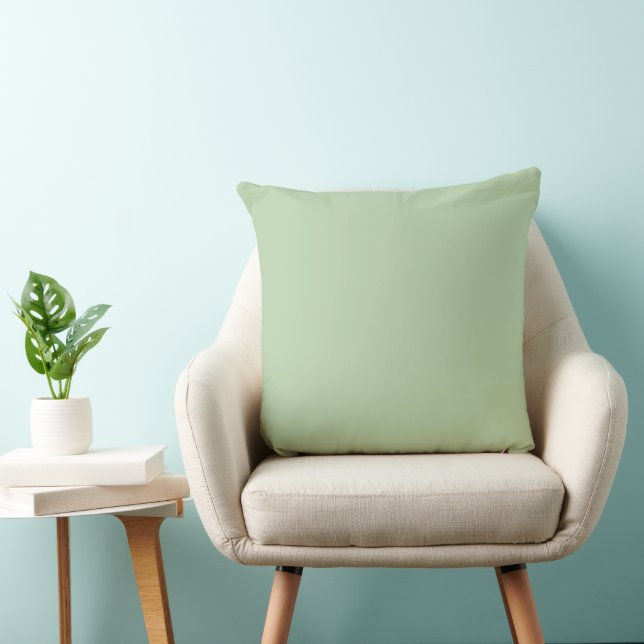 Coriander Solid Plain Color Throw Pillow (Chair)