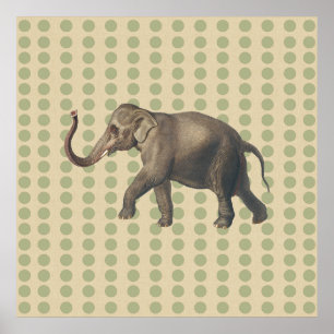 Coriander Spice Moods Dots with Elephant Poster