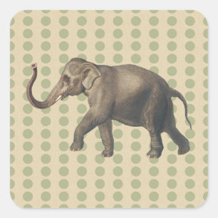 Coriander Spice Moods Dots with Elephant Square Sticker