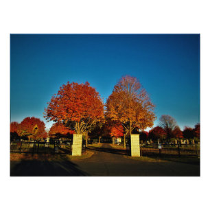 "Corinthian Colours" Photo Print