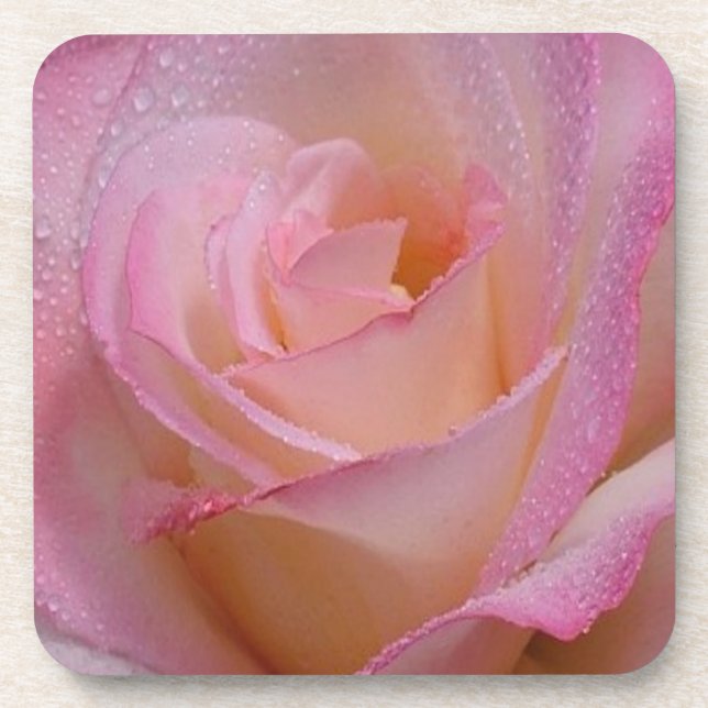 Cork Coaster Set Beautiful Pink Rose (Front)
