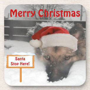 Cork Coaster Set German Shepherd Stop Here Sign