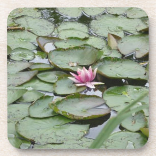 Cork Coasters Set of 6- Monet Garden Lily Pads