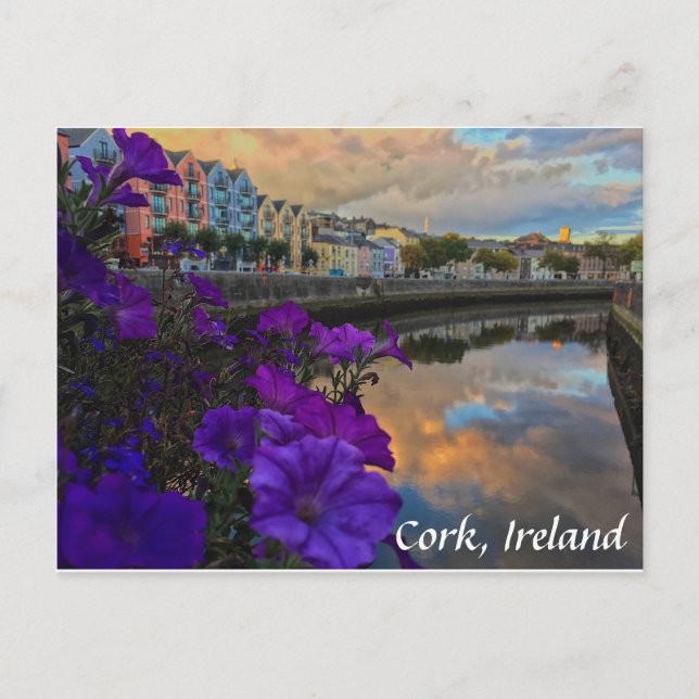 Cork, Ireland Flowers, River Lee Postcard (Front)