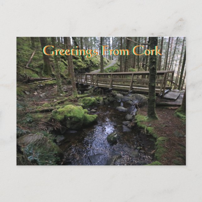 Cork Ireland Postcard (Front)