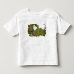 Cork, Ireland. The infamous Blarney Castle 2 Toddler T-shirt