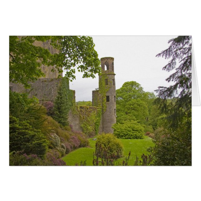 Cork, Irlande. Le tristement célèbre Château de Bl (Devant horizontal)