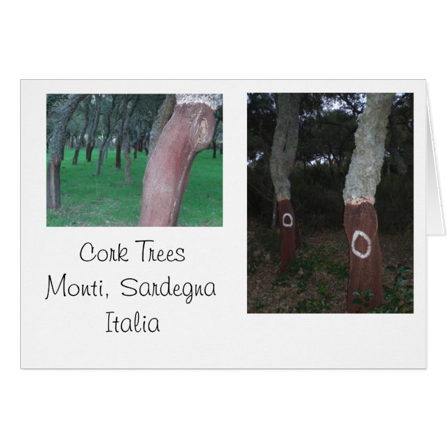 Cork Trees - Sardaigne, Italie (Devant Horizontal)