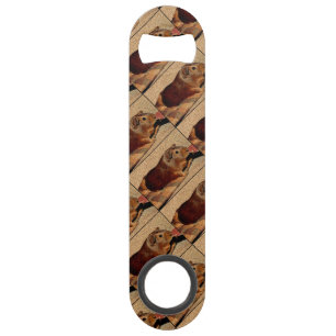 Corkboard Look Guinea Pig Bar Key
