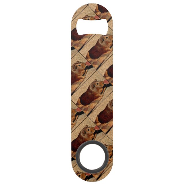Corkboard Look Guinea Pig Bar Key (Front)