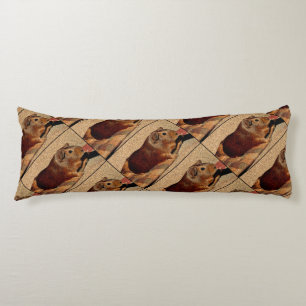 Corkboard Look Guinea Pig Body Pillow