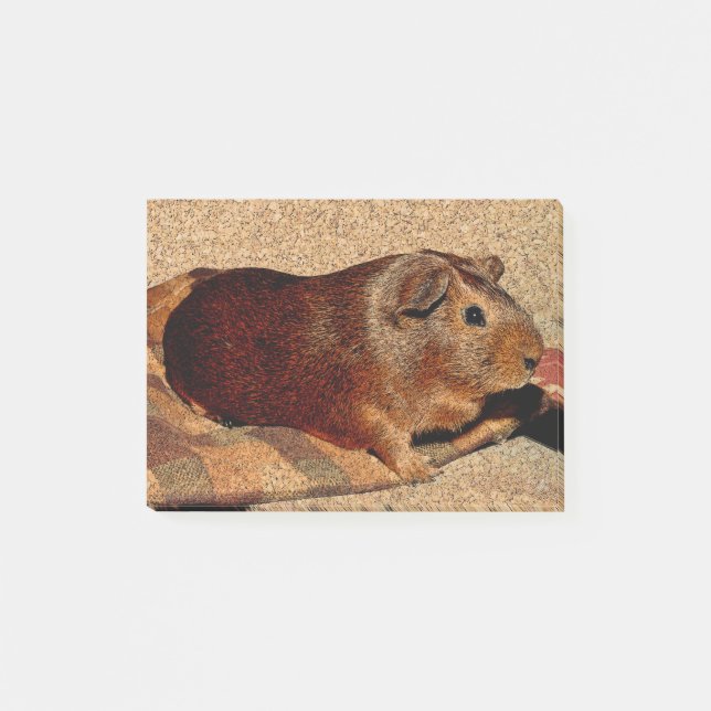 Corkboard Look Guinea Pig Post-it Notes (Front)