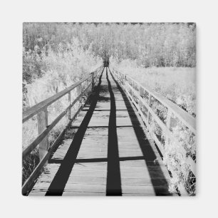 Corkscrew Swamp Sanctuary boardwalk, Florida, Magnet