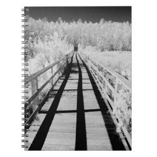 Corkscrew Swamp Sanctuary boardwalk, Florida, Notebook