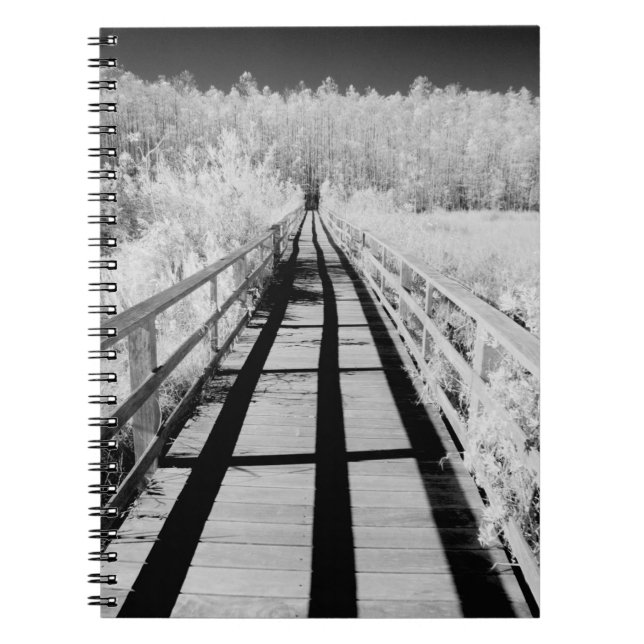 Corkscrew Swamp Sanctuary boardwalk, Florida, Notebook (Front)
