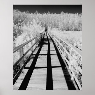 Corkscrew Swamp Sanctuary boardwalk, Florida, Poster
