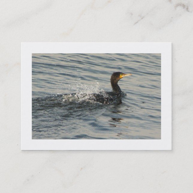 Cormorant Learning to Swim (Bordered) Business Card (Front)