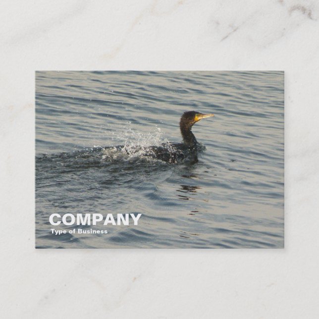 Cormorant Learning to Swim Business Card (Front)
