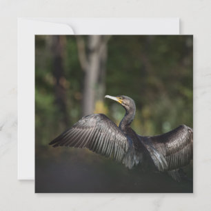 Cormorant Nature Photo Card