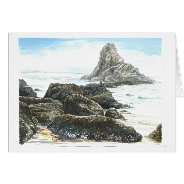 Cormorant on the Rock (Front Horizontal)