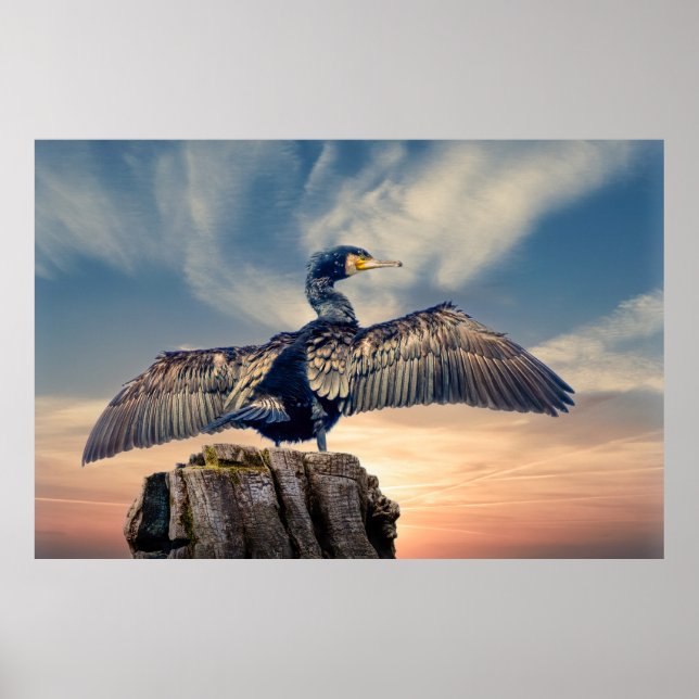 Cormorant Poster (Front)