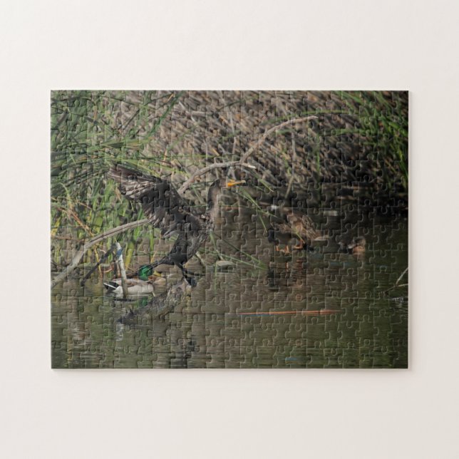 Cormorant Puzzle (Horizontal)