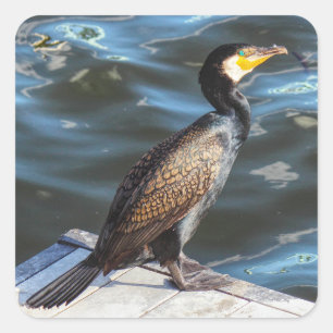 Cormorant Square Sticker