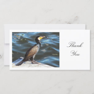 Cormorant - Thank You