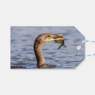 Cormorant with a fish gift tags