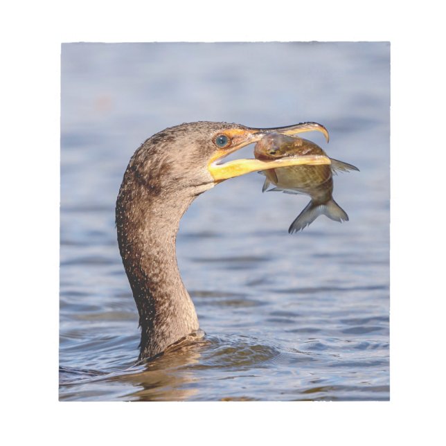 Cormorant with a fish notepad (Front)