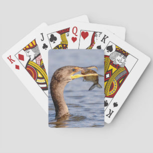Cormorant with a fish playing cards