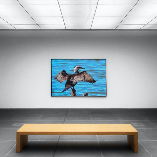 Cormorant With Outspread Wings On Blue Water Art Canvas Print (Creator Uploaded)