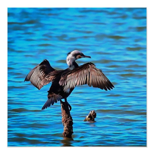Cormorant With Outspread Wings On Blue Water Art Poster (Front)